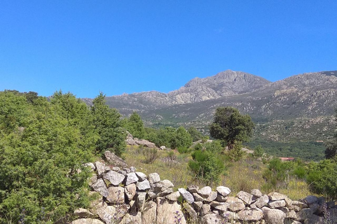 Acogedora casa rural en la sierra de Madrid Mataelpino Exterior foto