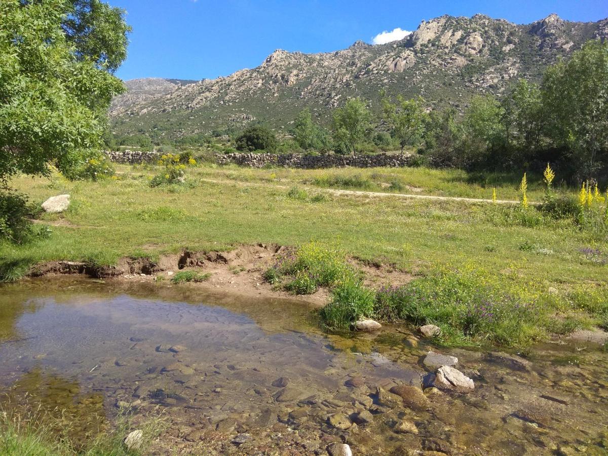 Acogedora casa rural en la sierra de Madrid Mataelpino Exterior foto