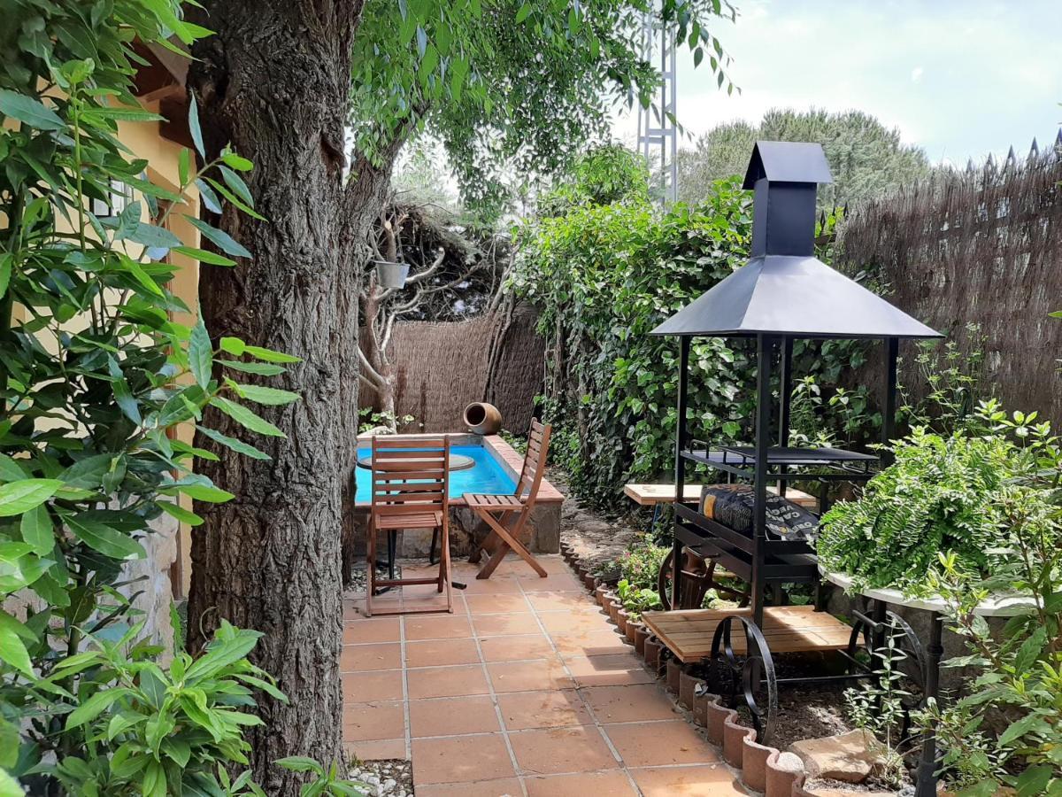 Acogedora casa rural en la sierra de Madrid Mataelpino Exterior foto